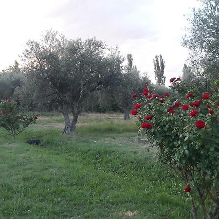 Casa De Campo Las Olivas Сан Рафаел Екстериор снимка