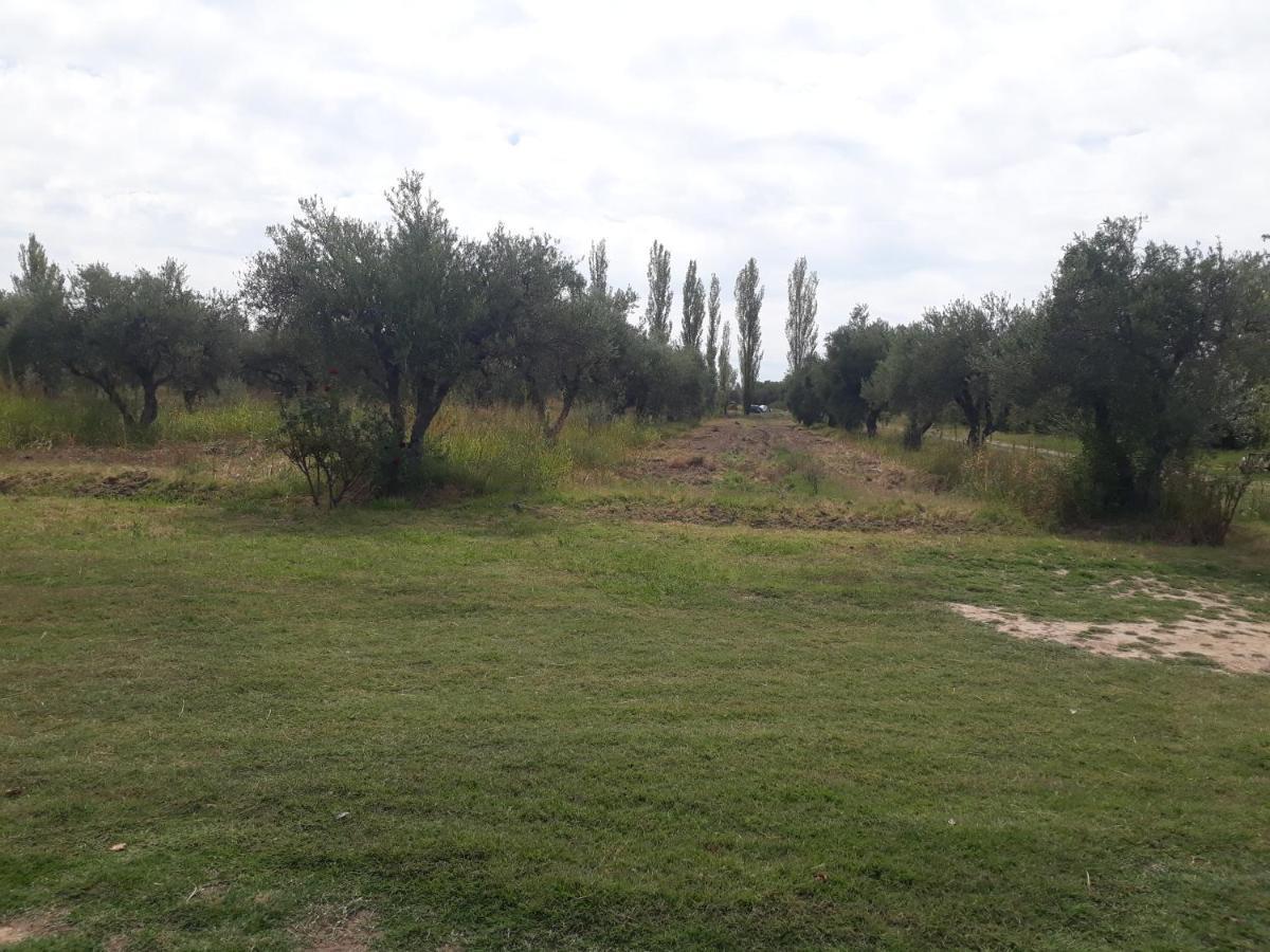 Casa De Campo Las Olivas Сан Рафаел Екстериор снимка