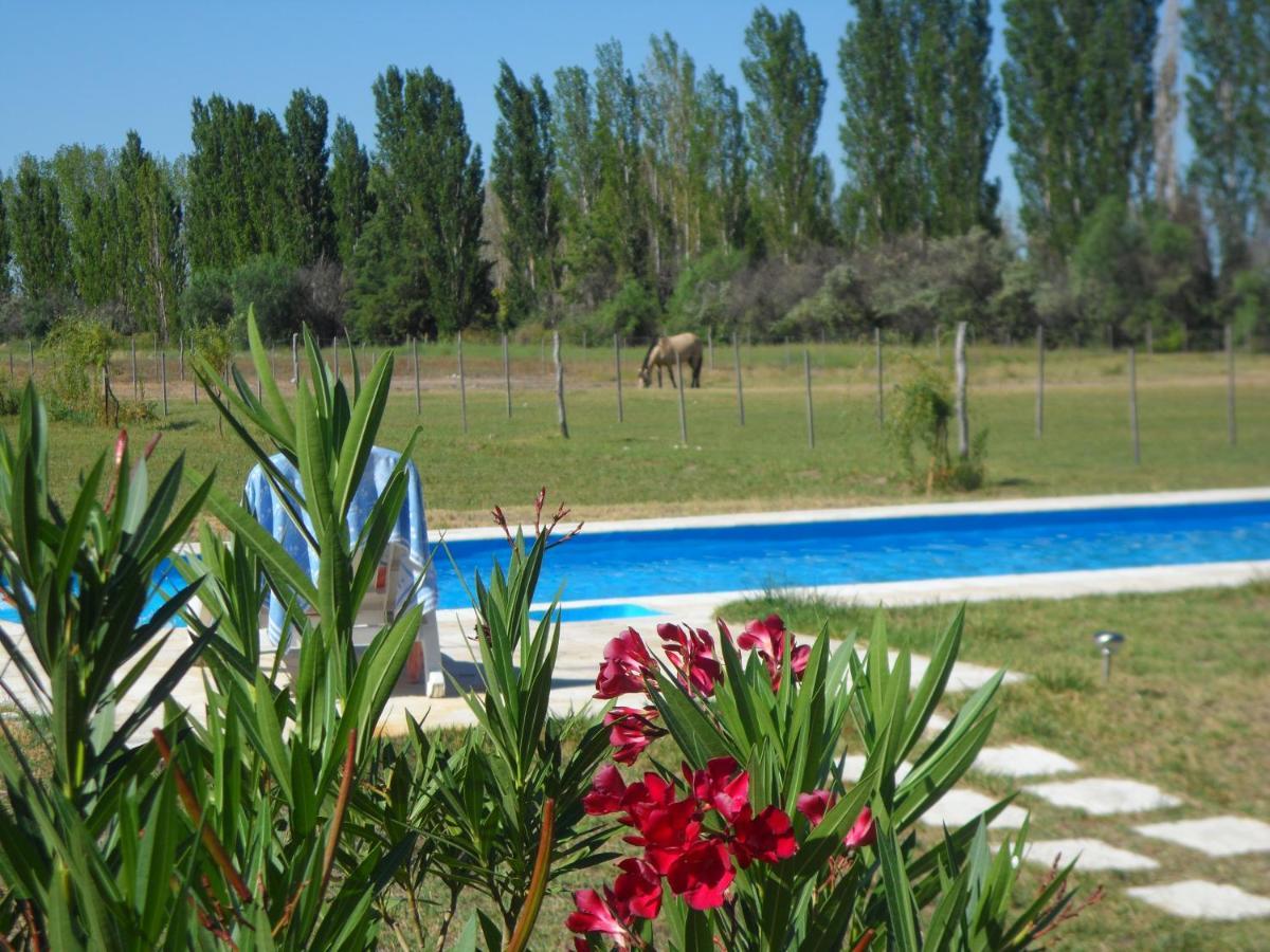 Casa De Campo Las Olivas Сан Рафаел Екстериор снимка
