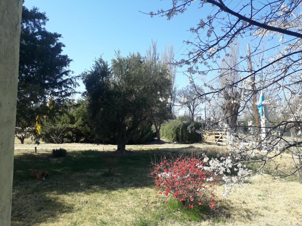Casa De Campo Las Olivas Сан Рафаел Екстериор снимка
