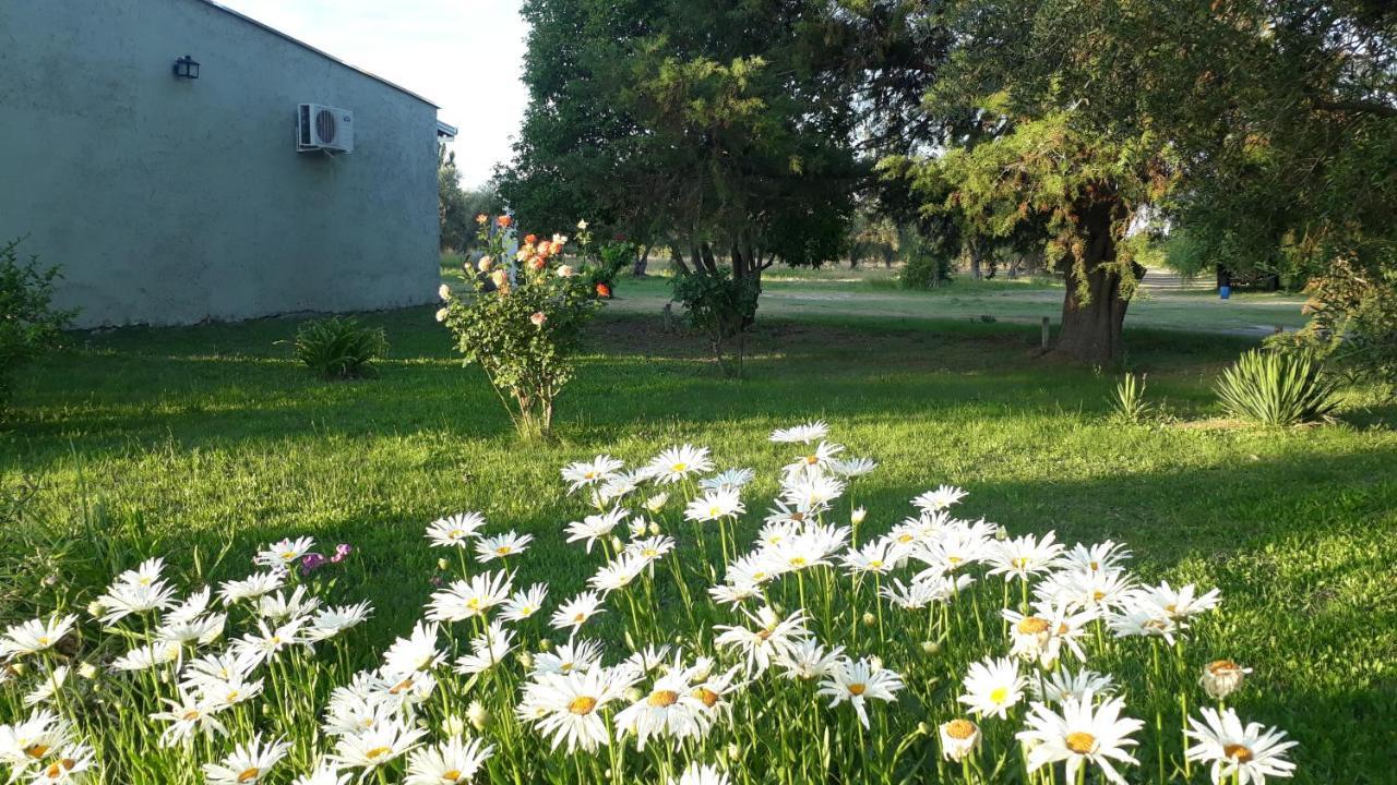 Casa De Campo Las Olivas Сан Рафаел Екстериор снимка