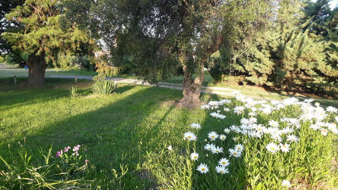 Casa De Campo Las Olivas Сан Рафаел Екстериор снимка