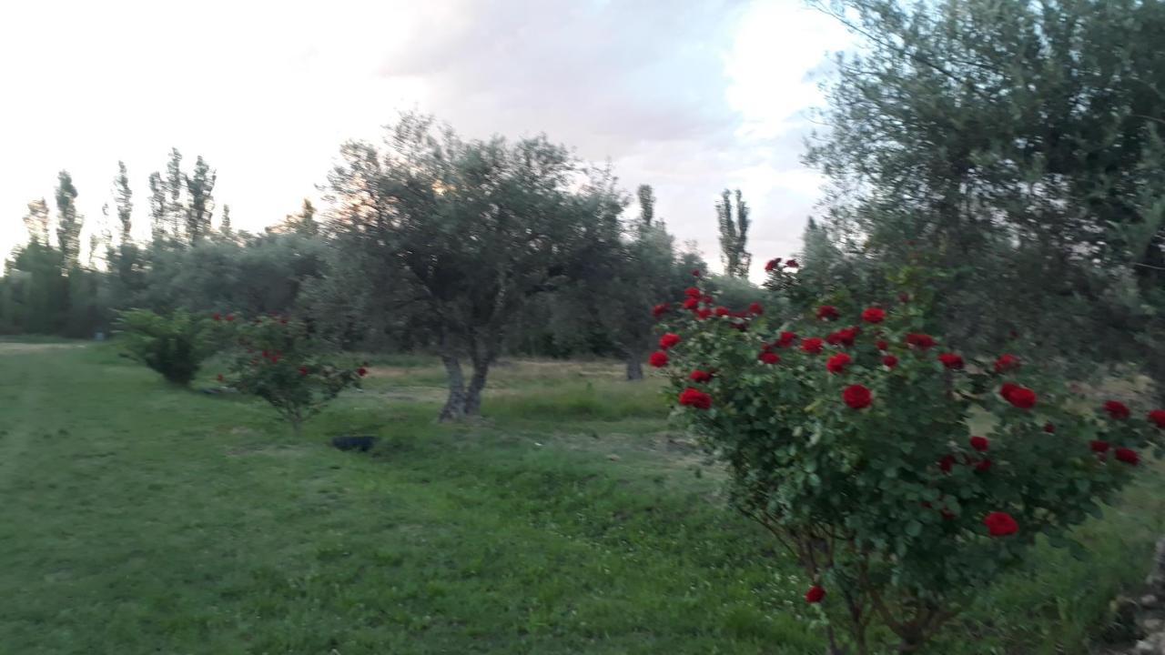 Casa De Campo Las Olivas Сан Рафаел Екстериор снимка