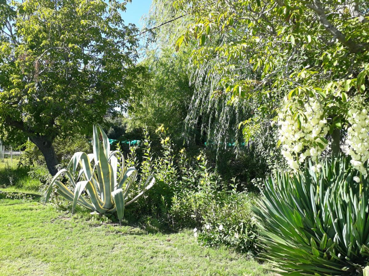 Casa De Campo Las Olivas Сан Рафаел Екстериор снимка
