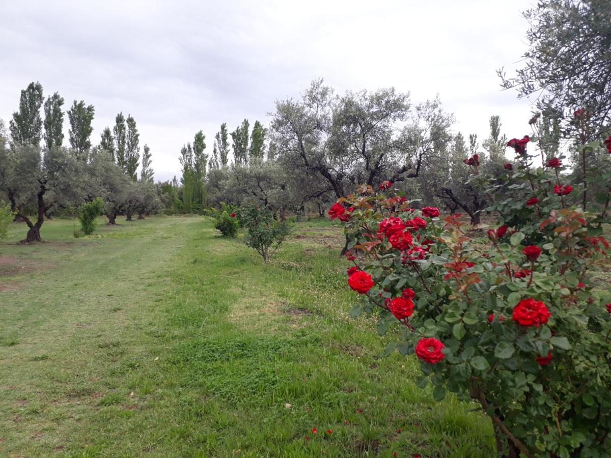 Casa De Campo Las Olivas Сан Рафаел Екстериор снимка